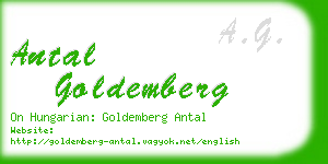 antal goldemberg business card